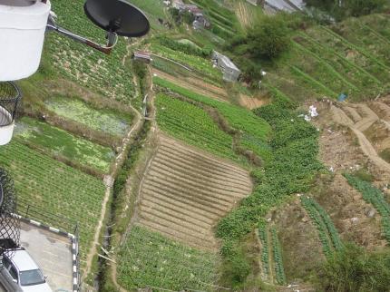 Rose Apartment Kea Farm Cameron Highlands Exterior photo