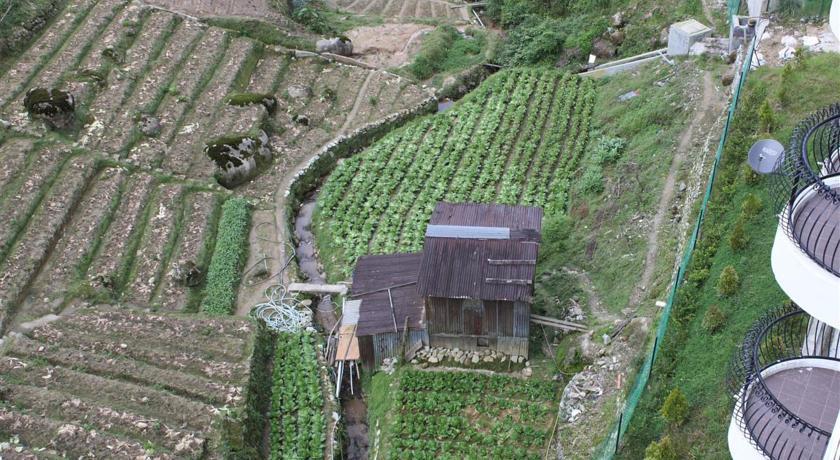 Rose Apartment Kea Farm Cameron Highlands Exterior photo